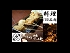 大阪ﾐﾅﾐの飲み放題･食べ放題 串かつ居酒屋 創作肉料理 心斎橋のおあしす